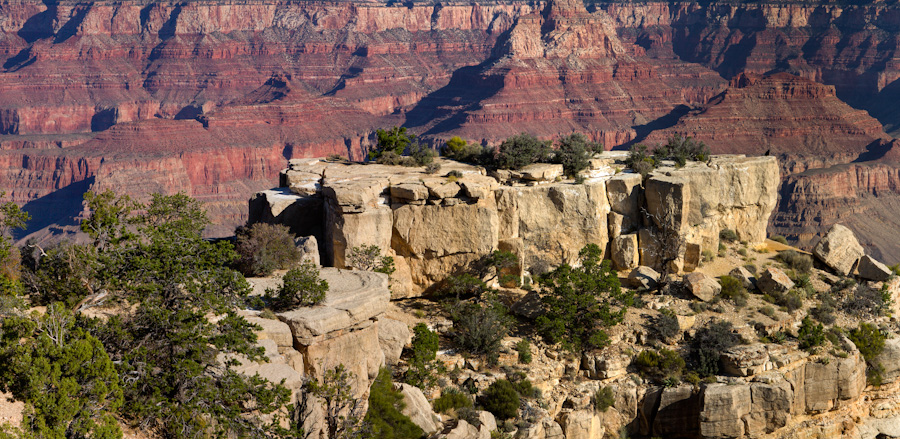grandcanyon2011